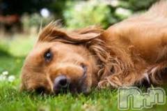 上越デリヘル上越風俗出張アロママッサージ(ジョウエツフウゾクシュッチョウアロママッサージ) ゆずき☆(37)の6月27日写メブログ「ありがとうございました♡」