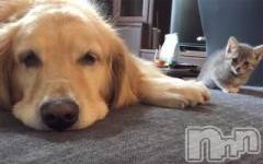 上越デリヘル上越風俗出張アロママッサージ(ジョウエツフウゾクシュッチョウアロママッサージ) ゆずき☆(37)の7月1日写メブログ「ありがとうございました♡」