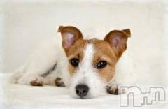 上越デリヘル上越風俗出張アロママッサージ(ジョウエツフウゾクシュッチョウアロママッサージ) ゆずき☆(37)の7月15日写メブログ「ありがとうございました♡」