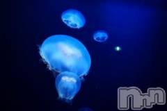 上越デリヘル上越風俗出張アロママッサージ(ジョウエツフウゾクシュッチョウアロママッサージ) ゆずき☆(37)の7月17日写メブログ「ありがとうございました♡」