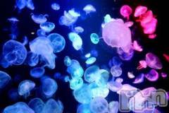 上越デリヘル上越風俗出張アロママッサージ(ジョウエツフウゾクシュッチョウアロママッサージ) ゆずき☆(37)の7月20日写メブログ「ありがとうございました♡」