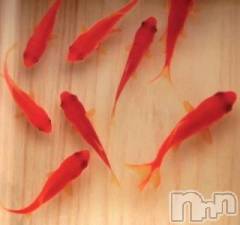 上越デリヘル上越風俗出張アロママッサージ(ジョウエツフウゾクシュッチョウアロママッサージ) ゆずき☆(37)の8月7日写メブログ「ありがとうございました♡」