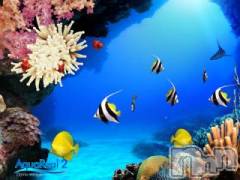 上越デリヘル上越風俗出張アロママッサージ(ジョウエツフウゾクシュッチョウアロママッサージ) ゆずき☆(37)の8月8日写メブログ「ありがとうございました♡」