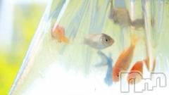 上越デリヘル上越風俗出張アロママッサージ(ジョウエツフウゾクシュッチョウアロママッサージ) ゆずき☆(37)の8月26日写メブログ「ありがとうございました♡」