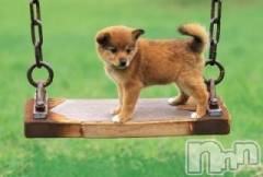 上越デリヘル上越風俗出張アロママッサージ(ジョウエツフウゾクシュッチョウアロママッサージ) ゆずき☆(37)の10月5日写メブログ「ありがとうございました♡」