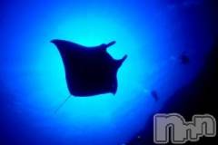 上越デリヘル上越風俗出張アロママッサージ(ジョウエツフウゾクシュッチョウアロママッサージ) ゆずき☆(37)の10月21日写メブログ「ありがとうございました ♡」