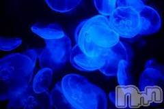 上越デリヘル上越風俗出張アロママッサージ(ジョウエツフウゾクシュッチョウアロママッサージ) ゆずき☆(37)の10月24日写メブログ「ありがとうございました♡」