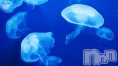 上越デリヘル上越風俗出張アロママッサージ(ジョウエツフウゾクシュッチョウアロママッサージ) ゆずき☆(37)の10月24日写メブログ「ありがとうございました♡」