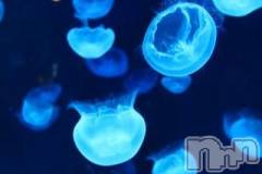 上越デリヘル上越風俗出張アロママッサージ(ジョウエツフウゾクシュッチョウアロママッサージ) ゆずき☆(37)の10月24日写メブログ「ありがとうございました♡」