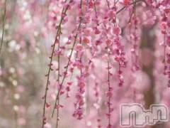 上越デリヘル上越風俗出張アロママッサージ(ジョウエツフウゾクシュッチョウアロママッサージ) ゆずき☆(37)の2月11日写メブログ「ありがとうございました♡」