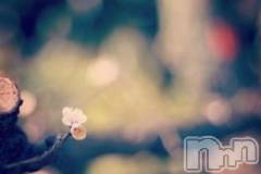 上越デリヘル上越風俗出張アロママッサージ(ジョウエツフウゾクシュッチョウアロママッサージ) ゆずき☆(37)の2月15日写メブログ「ありがとうございました♡」