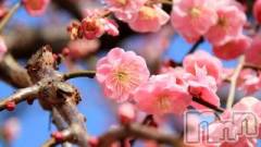 上越デリヘル上越風俗出張アロママッサージ(ジョウエツフウゾクシュッチョウアロママッサージ) ゆずき☆(37)の2月28日写メブログ「ありがとうございました♡」