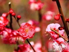 上越デリヘル上越風俗出張アロママッサージ(ジョウエツフウゾクシュッチョウアロママッサージ) ゆずき☆(37)の2月28日写メブログ「ありがとうございました♡」