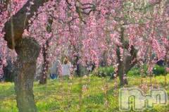 上越デリヘル上越風俗出張アロママッサージ(ジョウエツフウゾクシュッチョウアロママッサージ) ゆずき☆(37)の3月17日写メブログ「ありがとうございました♡」