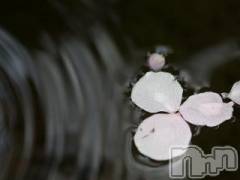 上越デリヘル上越風俗出張アロママッサージ(ジョウエツフウゾクシュッチョウアロママッサージ) ゆずき☆(37)の3月20日写メブログ「ありがとうございました♡」