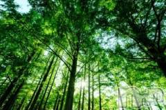 上越デリヘル上越風俗出張アロママッサージ(ジョウエツフウゾクシュッチョウアロママッサージ) ゆずき☆(37)の4月8日写メブログ「ありがとうございました♡」