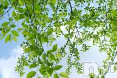 上越デリヘル上越風俗出張アロママッサージ(ジョウエツフウゾクシュッチョウアロママッサージ) ゆずき☆(37)の4月8日写メブログ「ありがとうございました♡」