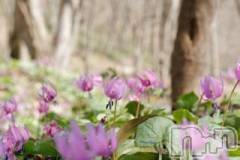 上越デリヘル上越風俗出張アロママッサージ(ジョウエツフウゾクシュッチョウアロママッサージ) ゆずき☆(37)の4月26日写メブログ「ありがとうございました♡」