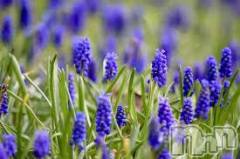 上越デリヘル上越風俗出張アロママッサージ(ジョウエツフウゾクシュッチョウアロママッサージ) ゆずき☆(37)の4月29日写メブログ「ありがとうございました♡」