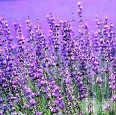 上越デリヘル上越風俗出張アロママッサージ(ジョウエツフウゾクシュッチョウアロママッサージ) ゆずき☆(37)の5月23日写メブログ「ありがとうございました♡」