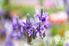 上越デリヘル上越風俗出張アロママッサージ(ジョウエツフウゾクシュッチョウアロママッサージ) ゆずき☆(37)の5月24日写メブログ「ありがとうございました♡」