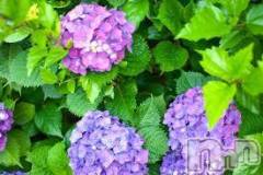 上越デリヘル上越風俗出張アロママッサージ(ジョウエツフウゾクシュッチョウアロママッサージ) ゆずき☆(37)の6月7日写メブログ「ありがとうございました♡」