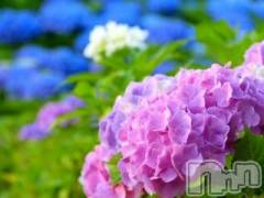 上越デリヘル上越風俗出張アロママッサージ(ジョウエツフウゾクシュッチョウアロママッサージ) ゆずき☆(37)の6月8日写メブログ「ありがとうございました♡」