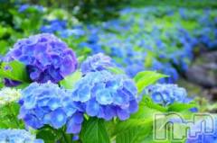 上越デリヘル上越風俗出張アロママッサージ(ジョウエツフウゾクシュッチョウアロママッサージ) ゆずき☆(37)の6月9日写メブログ「ありがとうございました♡」