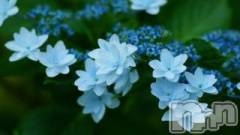 上越デリヘル上越風俗出張アロママッサージ(ジョウエツフウゾクシュッチョウアロママッサージ) ゆずき☆(37)の7月3日写メブログ「ありがとうございました♡」