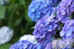 上越デリヘル上越風俗出張アロママッサージ(ジョウエツフウゾクシュッチョウアロママッサージ) ゆずき☆(37)の7月3日写メブログ「ありがとうございました♡」