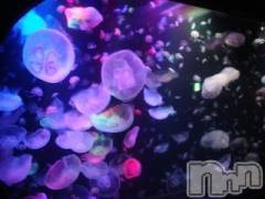 上越デリヘル上越風俗出張アロママッサージ(ジョウエツフウゾクシュッチョウアロママッサージ) ゆずき☆(37)の8月18日写メブログ「ありがとうございました♡」