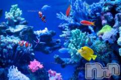 上越デリヘル上越風俗出張アロママッサージ(ジョウエツフウゾクシュッチョウアロママッサージ) ゆずき☆(37)の8月18日写メブログ「ありがとうございました♡」