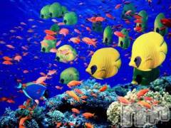 上越デリヘル上越風俗出張アロママッサージ(ジョウエツフウゾクシュッチョウアロママッサージ) ゆずき☆(37)の8月20日写メブログ「ありがとうございました♡」