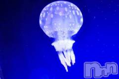 上越デリヘル上越風俗出張アロママッサージ(ジョウエツフウゾクシュッチョウアロママッサージ) ゆずき☆(37)の8月20日写メブログ「ありがとうございました♡」