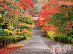 上越デリヘル上越風俗出張アロママッサージ(ジョウエツフウゾクシュッチョウアロママッサージ) ゆずき☆(37)の10月24日写メブログ「ありがとうございました♡」