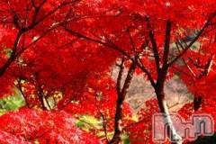 上越デリヘル上越風俗出張アロママッサージ(ジョウエツフウゾクシュッチョウアロママッサージ) ゆずき☆(37)の10月26日写メブログ「ありがとうございました♡」