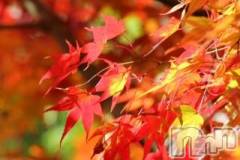 上越デリヘル上越風俗出張アロママッサージ(ジョウエツフウゾクシュッチョウアロママッサージ) ゆずき☆(37)の10月28日写メブログ「ありがとうございました♡」