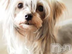 上越デリヘル上越風俗出張アロママッサージ(ジョウエツフウゾクシュッチョウアロママッサージ) ゆずき☆(37)の11月18日写メブログ「ありがとうございました♡」