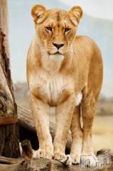 上越デリヘル上越風俗出張アロママッサージ(ジョウエツフウゾクシュッチョウアロママッサージ) ゆずき☆(37)の11月18日写メブログ「ありがとうございました♡」