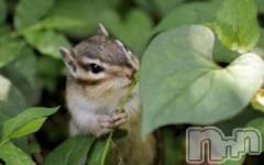 上越デリヘル上越風俗出張アロママッサージ(ジョウエツフウゾクシュッチョウアロママッサージ) ゆずき☆(37)の11月21日写メブログ「ありがとうございました♡」