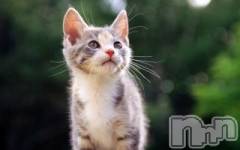 上越デリヘル上越風俗出張アロママッサージ(ジョウエツフウゾクシュッチョウアロママッサージ) ゆずき☆(37)の11月24日写メブログ「ありがとうございました♡」