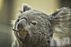 上越デリヘル上越風俗出張アロママッサージ(ジョウエツフウゾクシュッチョウアロママッサージ) ゆずき☆(37)の11月24日写メブログ「ありがとうございました♡」