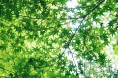 上越デリヘル上越風俗出張アロママッサージ(ジョウエツフウゾクシュッチョウアロママッサージ) ゆずき☆(37)の6月24日写メブログ「ありがとうございました♡」