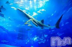 上越デリヘル上越風俗出張アロママッサージ(ジョウエツフウゾクシュッチョウアロママッサージ) ゆずき☆(37)の8月19日写メブログ「ありがとうございました♡」