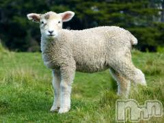 上越デリヘル上越風俗出張アロママッサージ(ジョウエツフウゾクシュッチョウアロママッサージ) ゆずき☆(37)の9月11日写メブログ「ありがとうございました♡」