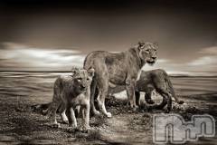 上越デリヘル上越風俗出張アロママッサージ(ジョウエツフウゾクシュッチョウアロママッサージ) ゆずき☆(37)の9月13日写メブログ「ありがとうございました♡」