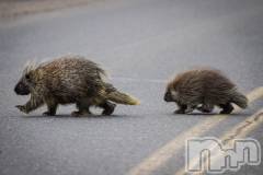 上越デリヘル上越風俗出張アロママッサージ(ジョウエツフウゾクシュッチョウアロママッサージ) ゆずき☆(37)の9月13日写メブログ「ありがとうございました♡」