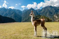 上越デリヘル上越風俗出張アロママッサージ(ジョウエツフウゾクシュッチョウアロママッサージ) ゆずき☆(37)の9月13日写メブログ「ありがとうございました♡」