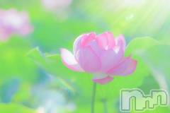 上越デリヘル上越風俗出張アロママッサージ(ジョウエツフウゾクシュッチョウアロママッサージ) ゆずき☆(37)の9月29日写メブログ「ありがとうございました♡」