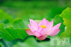 上越デリヘル上越風俗出張アロママッサージ(ジョウエツフウゾクシュッチョウアロママッサージ) ゆずき☆(37)の9月29日写メブログ「ありがとうございました♡」